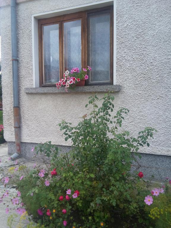 Guest House Ahp Mala Tsŭrkva Habitación foto